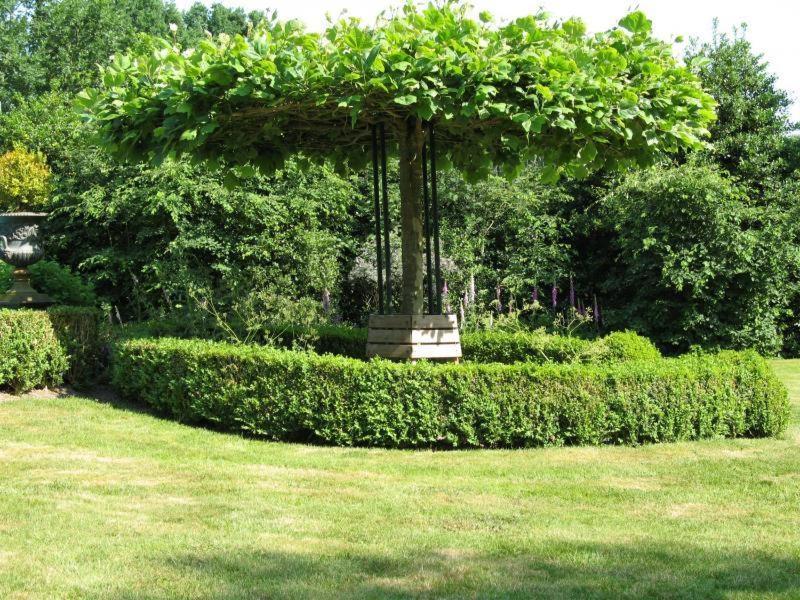 Erfgoedlogies Bed And Breakfast 'T Olde Hof Westervelde Exterior foto